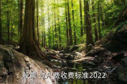  股票 過戶費收費標準2022