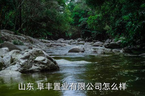 阜豐投資集團(tuán)怎么樣,本地有哪些公司存在風(fēng)險?一起來看看!