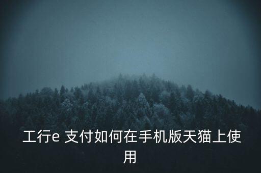  工行e 支付如何在手機版天貓上使用