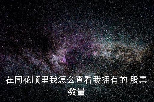 在同花順里我怎么查看我擁有的 股票數(shù)量