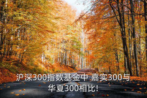 嘉實滬深300etf聯(lián)接怎么樣,滬深300對比華實300