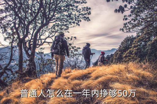 普通人怎么在一年內(nèi)掙夠50萬