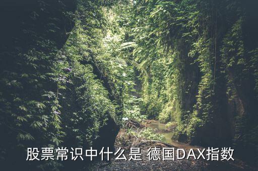  股票常識中什么是 德國DAX指數(shù)