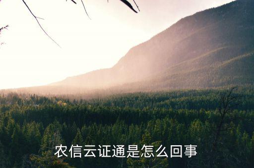 中證云怎么樣,手機云證書申請系統(tǒng)提示人臉識別驗證身份