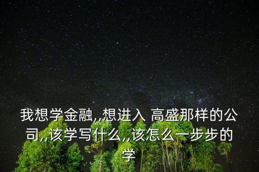 我想學金融,,想進入 高盛那樣的公司,,該學寫什么,,該怎么一步步的學