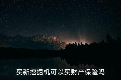 買(mǎi)新挖掘機(jī)可以買(mǎi)財(cái)產(chǎn)保險(xiǎn)嗎