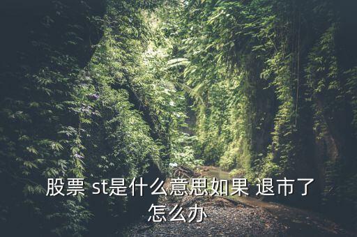 st二重退市股票怎么辦,st前加星號(hào)是退市風(fēng)險(xiǎn)提示