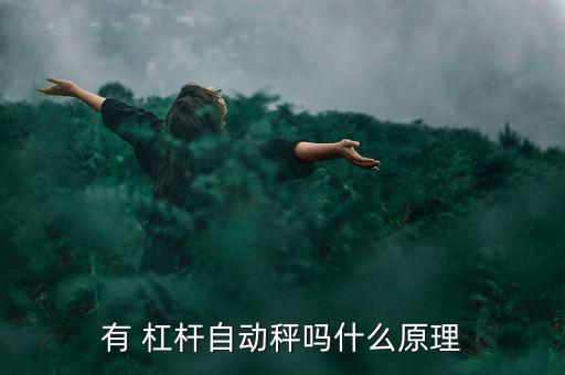 杠桿秤怎么做,簡易秤重在握手中握桿的另一端