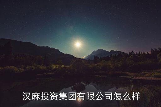  漢麻投資集團有限公司怎么樣