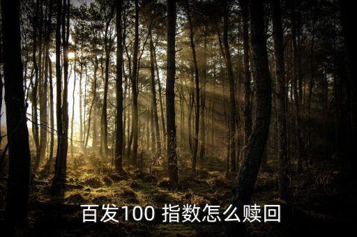 百發(fā)100指數(shù)怎么樣,指數(shù)基金的概念