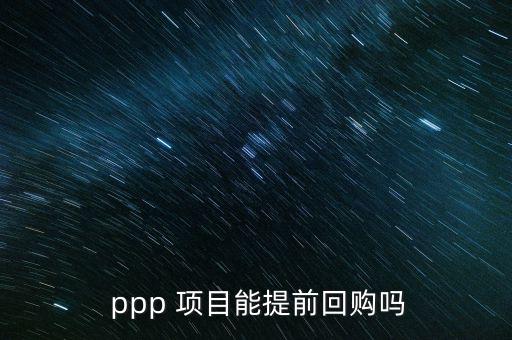 ppp項目怎么回款,回購交易合同約定的項目是什么?