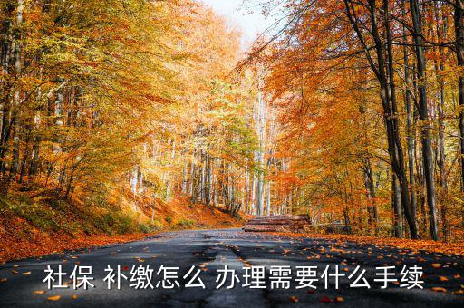 怎么辦理社保補(bǔ)繳,未辦理社會(huì)保險(xiǎn)登記的用戶可申請(qǐng)補(bǔ)繳社保