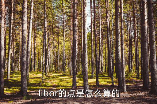  libor的點(diǎn)是怎么算的