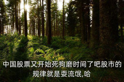 中國股票又開始死狗磨時(shí)間了吧股市的規(guī)律就是耍流氓,哈