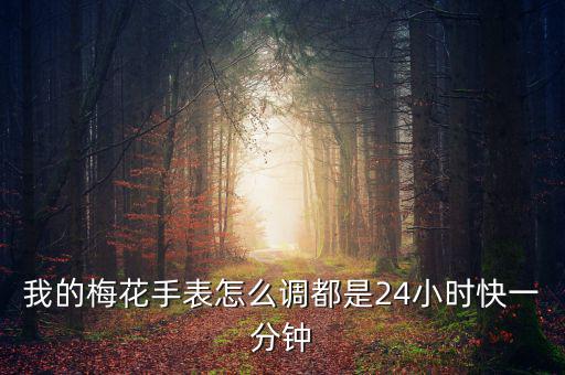 我的梅花手表怎么調(diào)都是24小時快一分鐘