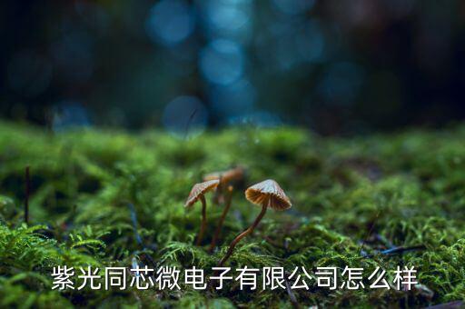  紫光同芯微電子有限公司怎么樣