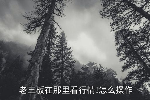 老三板怎么辦,投資者只能在股份特轉(zhuǎn)權(quán)限下交易新三板市場股票