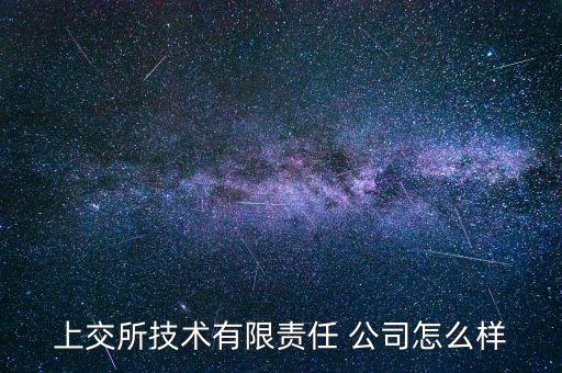 上交所技術(shù)有限責(zé)任 公司怎么樣