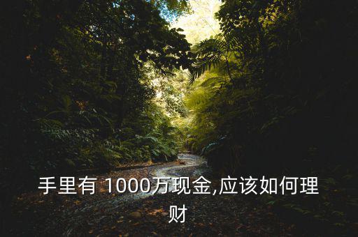 手里有 1000萬現(xiàn)金,應(yīng)該如何理財(cái)