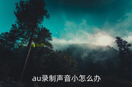  au錄制聲音小怎么辦