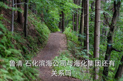  魯清 石化濱海公司與海化集團(tuán)還有關(guān)系嗎