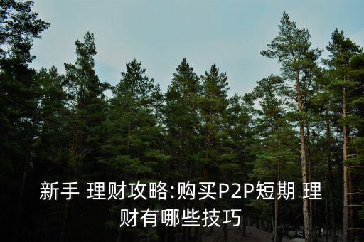 新手 理財(cái)攻略:購買P2P短期 理財(cái)有哪些技巧