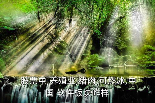 中國軟件股票怎么樣,周四開盤可關(guān)注可燃冰和軟件的走勢