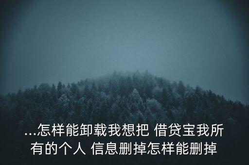 借貸寶怎么刪除個(gè)人信息,系統(tǒng)如何容納個(gè)人信息?