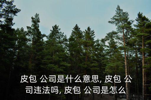  皮包 公司是什么意思, 皮包 公司違法嗎, 皮包 公司是怎么