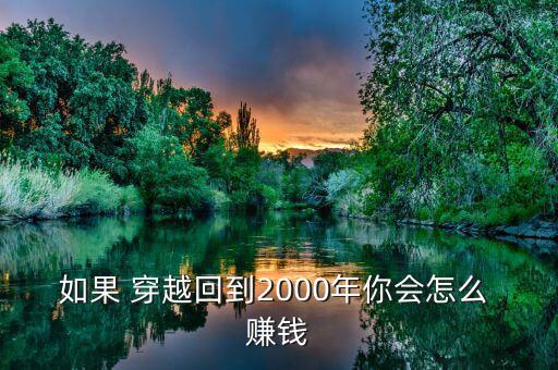 如果 穿越回到2000年你會(huì)怎么 賺錢