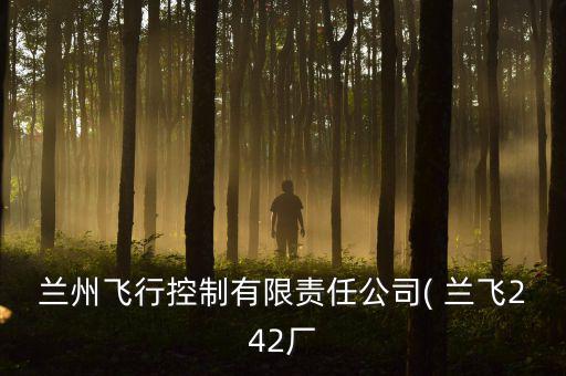 蘭州飛行控制有限責任公司( 蘭飛242廠