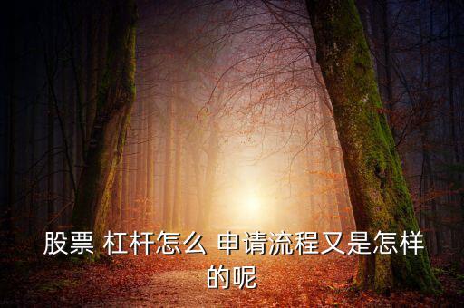  股票 杠桿怎么 申請(qǐng)流程又是怎樣的呢