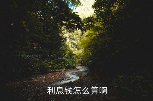  利息錢怎么算啊