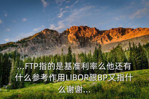 ...FTP指的是基準(zhǔn)利率么他還有什么參考作用LIBOR跟BP又指什么謝謝...