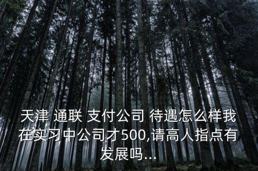 天津 通聯(lián) 支付公司 待遇怎么樣我在實習中公司才500,請高人指點有發(fā)展嗎...