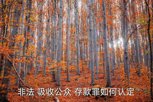 吸收公共存款資金怎么轉(zhuǎn)移,行為人吸收資金向不特定對(duì)象投資