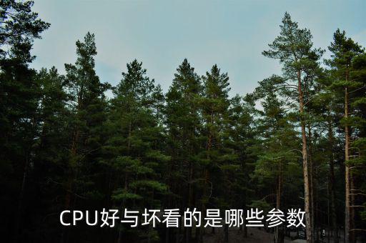 CPU好與壞看的是哪些參數