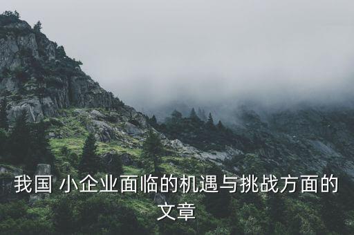 小企業(yè)怎么怎么走出困境,中小企業(yè)要正視金融危機(jī)立足長遠(yuǎn)發(fā)展