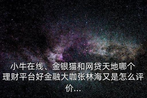  小牛在線、金銀貓和網(wǎng)貸天地哪個(gè) 理財(cái)平臺(tái)好金融大咖張林海又是怎么評(píng)價(jià)...