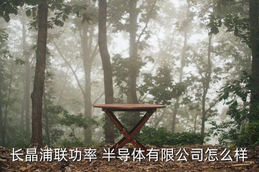 長晶浦聯(lián)功率 半導(dǎo)體有限公司怎么樣