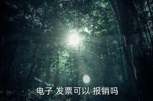  電子 發(fā)票可以 報銷嗎