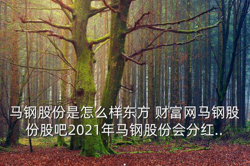 馬鋼股份是怎么樣東方 財富網馬鋼股份股吧2021年馬鋼股份會分紅...