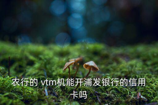 農(nóng)行的 vtm機(jī)能開(kāi)浦發(fā)銀行的信用卡嗎