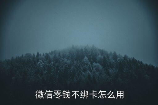  微信零錢(qián)不綁卡怎么用