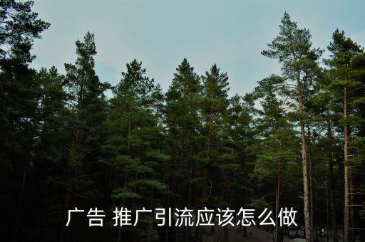 廣告 推廣引流應(yīng)該怎么做