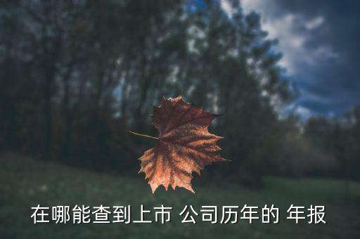 怎么查看公司年報,listing公司財務(wù)報表在每期年報里