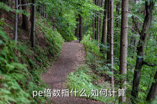  pe倍數(shù)指什么,如何計算