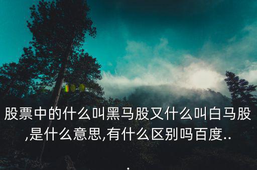 股票中的什么叫黑馬股又什么叫白馬股,是什么意思,有什么區(qū)別嗎百度...