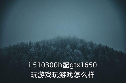 510300怎么分紅,硬盤容量太小顯卡只能用來玩大型網(wǎng)游