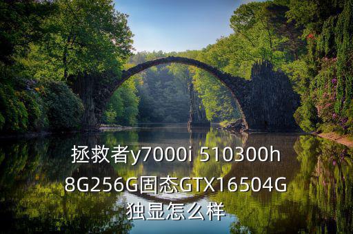 拯救者y7000i 510300h8G256G固態(tài)GTX16504G獨(dú)顯怎么樣